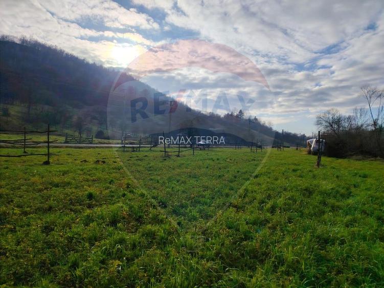 COMISION 0%  Teren intravilan de vanzare in Barsana (26 ARI) - 11
