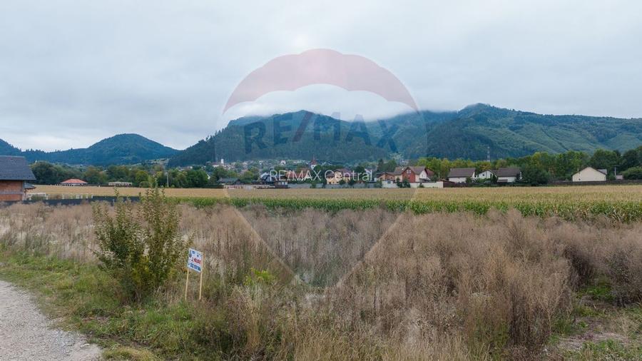 Teren 440mp Sacele - Strada Gospodarilor - 10