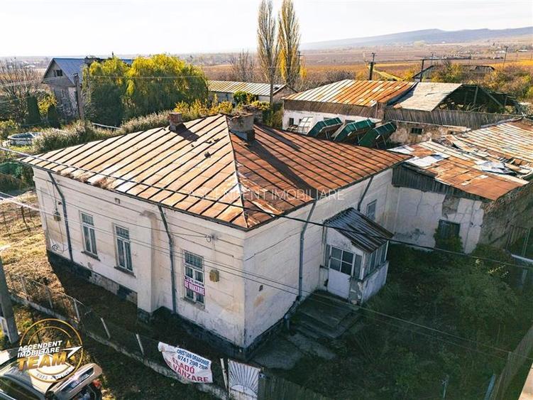 FILM! Casa boieresca autentica,domeniu de 4.000 mp intravilan,in podgoriile Odob - 5