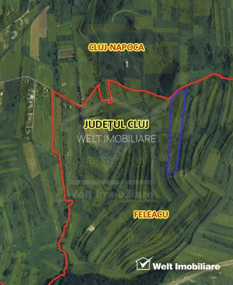 Teren investiție Sopor, preț imbatabil - 5