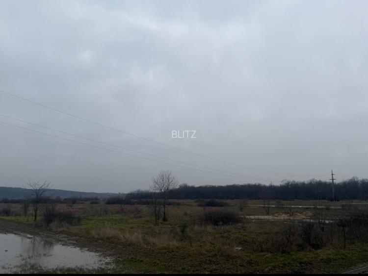 Teren extravilan 5000 , 2,5 euro mp BREASTA - 5