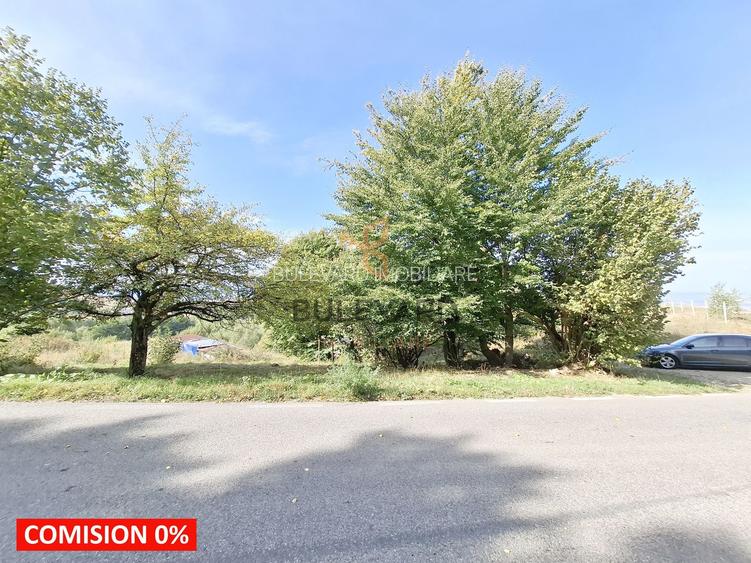 Comision 0. Teren cu autorizatie de construire in Salicea - 8