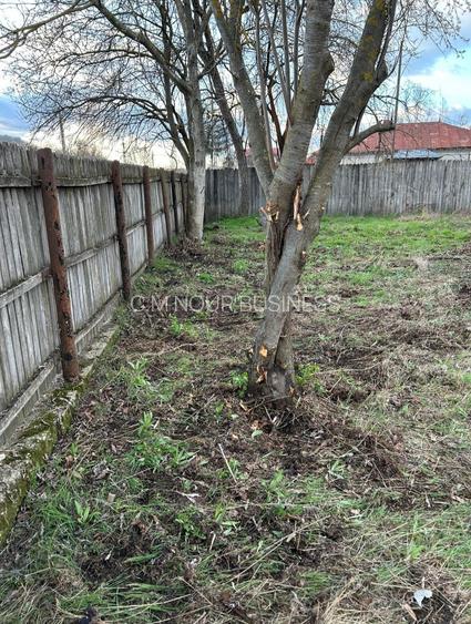 Teren intravilan 1570 mp in sat Magura (Hulubesti), Dambovita, deschidere 31ml - 9