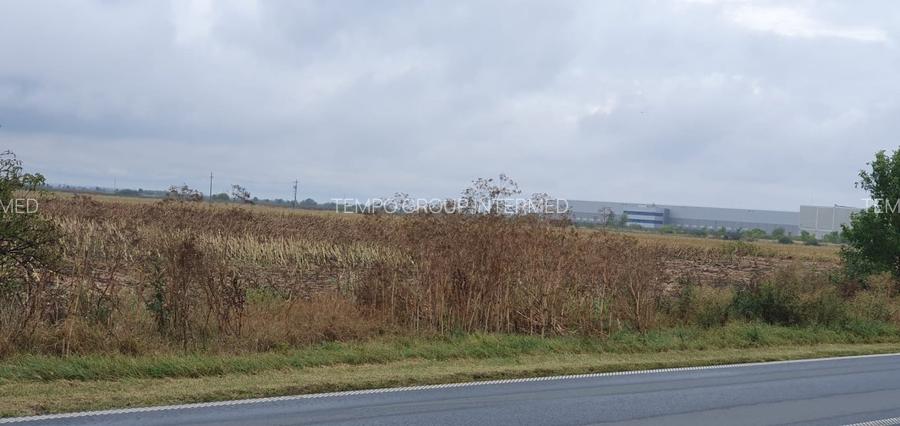 Dudestii Noi 10 ha comasate la 11 km de Timisoara - Ideal investitie ! - 7