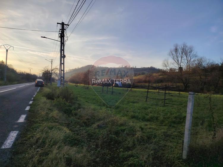 COMISION 0%  Teren intravilan de vanzare in Barsana (26 ARI) - 9