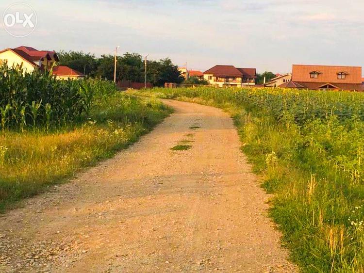 Teren intravilan de vanzare Ciofliceni | Ghermanesti | Snagov