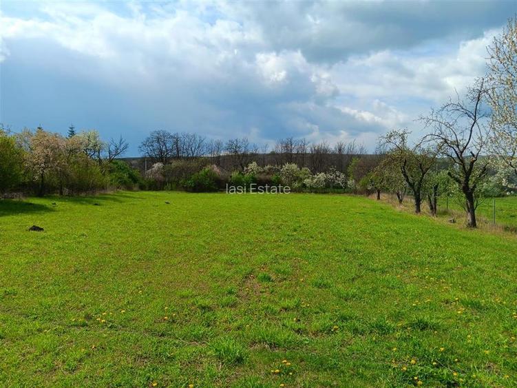 Badeni com Scobinti  Iasi Constructii 245mp Teren 4239mp intravilan dubla deschi - 4