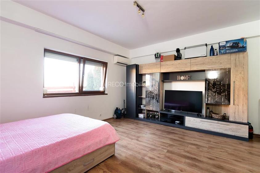 RECO APARTAMENT CU O CAMERA IN PALEU - 3