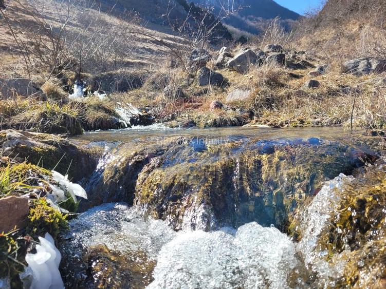 Teren intravilan 1.271 mp – Izvoarele, jud. Alba - 5