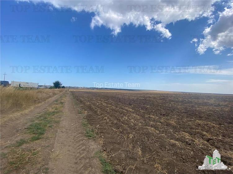 Teren extravilan in Mihail Kogalniceanu, Constanta - 5