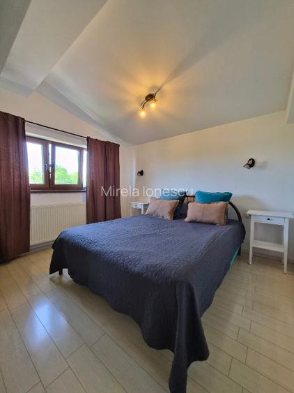 Proprietate cu 2 locuinte independente, spa privat, teren generos -Tunari Centru - 11