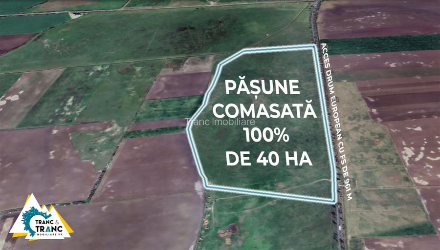 Teren PASUNE de 40ha, Comasat 100%, cu FS de 961 ml la Drumul European - 2