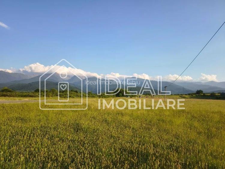 Teren extravilan de vânzare | Cârțișoara | 1800 mp - 5