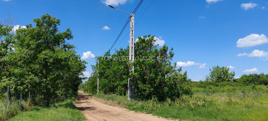 Teren extravilan deosebit, 5755 mp pe malul lacului Miersig, Bihor - 5