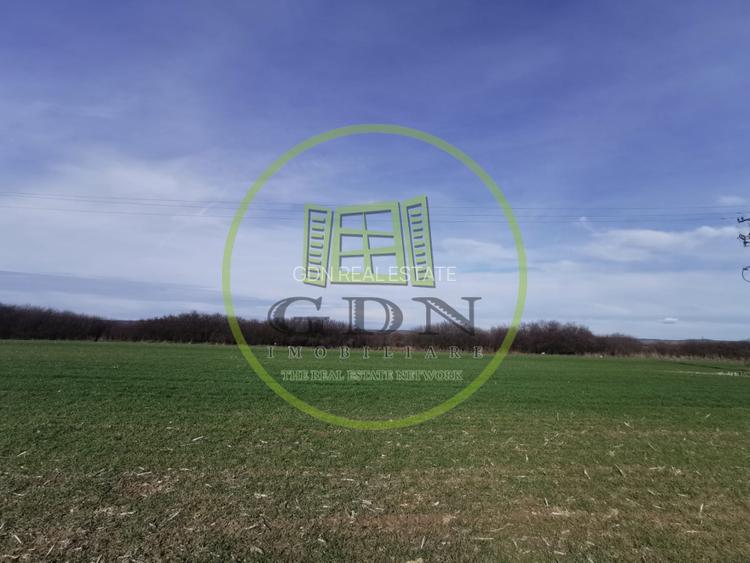 Teren extravilan de vanzare in Sacadat, 21.496 mp, cu deschidere de 42 m la E60. - 8