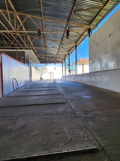 Hale depozit-productie industriala la 20 km de TM - 17