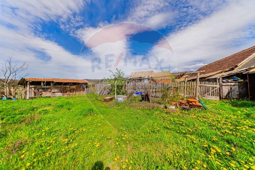 Casă cu teren 4500mp de vanzare in Carand Jud. Arad - 20