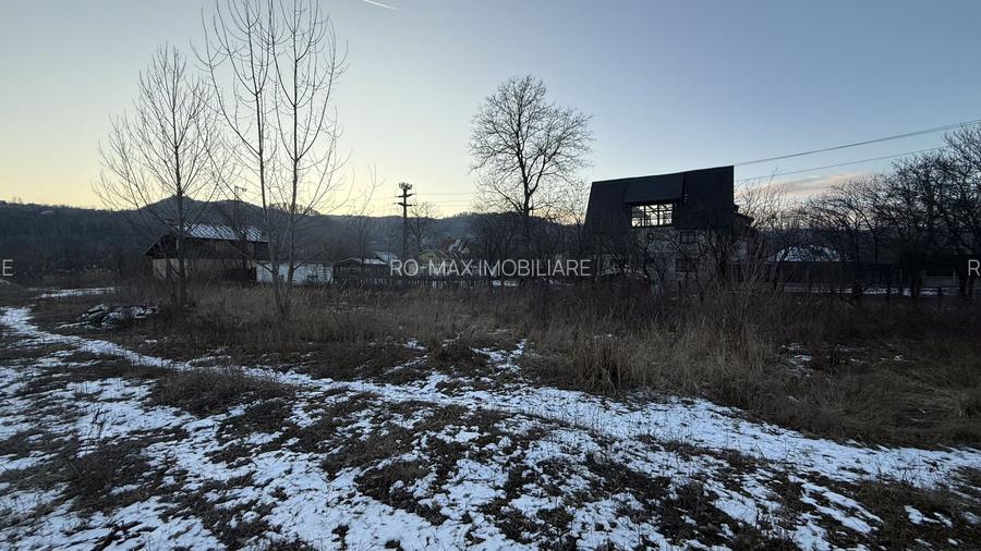 Teren intravilan construcții 10834 mp + construcție- cabană lemn! - 4
