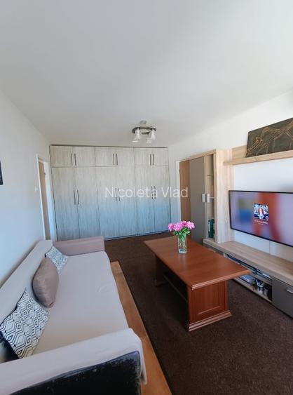 Proprietar - Vand apartament 2 camere, 50 mp, 10 min Metrou Obor, renovat - 6