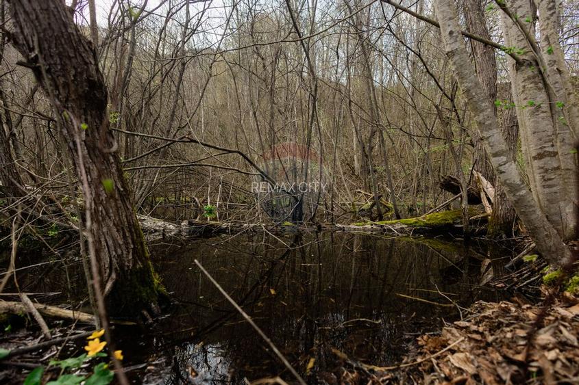 Casa si teren intravilan Tarcau - 19