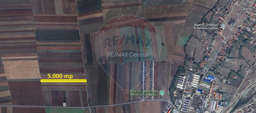 Teren Extravilan 5.000 mp Tarlungeni / Strada Zizinului - 4