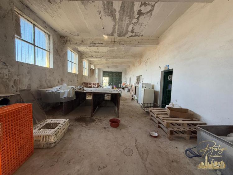 Hale industriale cu teren 6600 mp de vanzare in Com. Cefa - 27