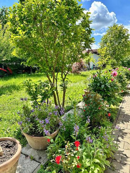 Casă cu 3 camere de închiriat pentru cazare muncitori, în Corunca - 21