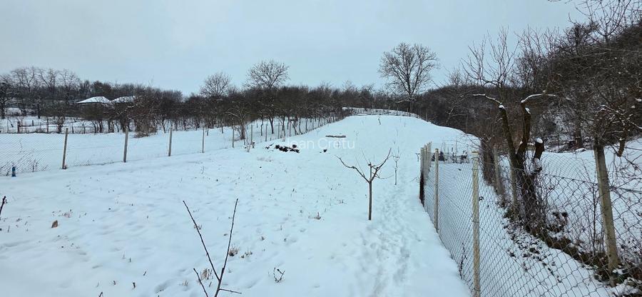 Proprietate deosebită în sat Chinari – Sântana de Mureș - 6