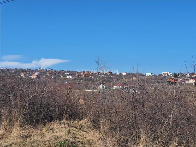 Loturi de la 430 la 480mp teren intravilan pentru contructii - Daia Nouă - 11
