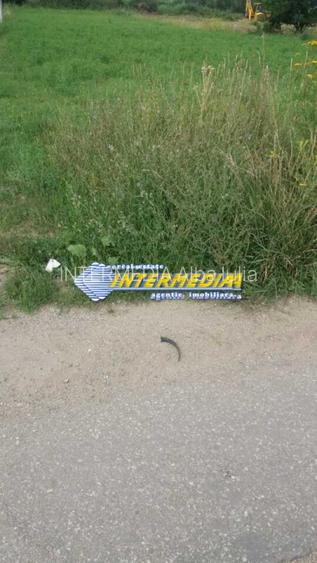 Teren intravilan de vanzare 2300 mp Alba Micesti - 5