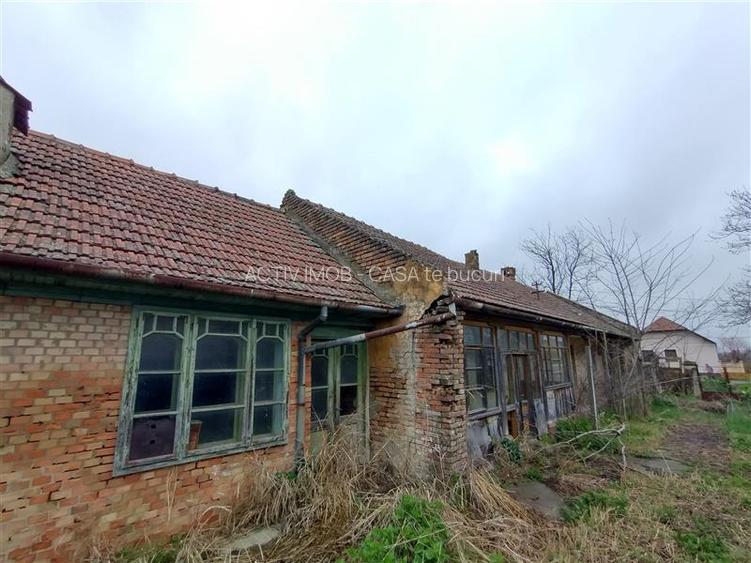 Iecea Mare - Timis, Casa cu Gradina, 1800mp Teren, Pret Negociabil - 12