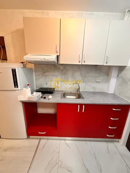 Camera Camin Bularga, Mihail Sturdza - 5