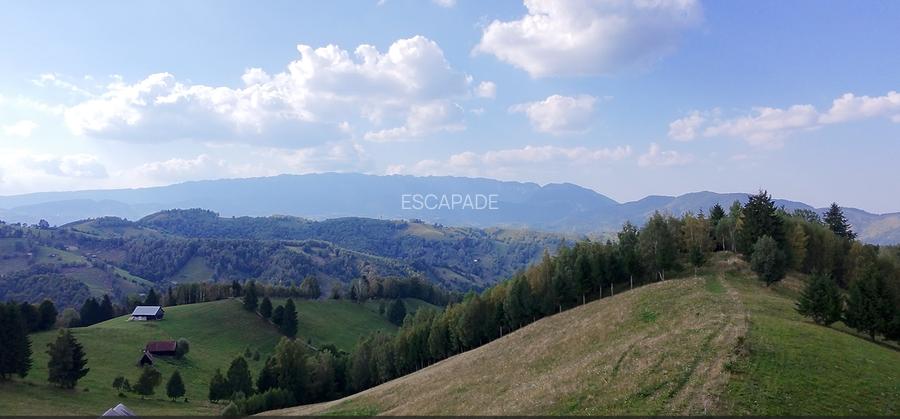 Teren superb extravilan, cu vedere la hotel Matca si muntii Bucegi - 7
