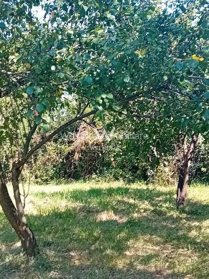 974 mp de vis, între pădure și cer - Teren intravilan, Cisnadioara, Sibiu - 6