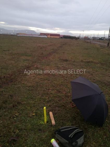 Teren Sanpetru 6300 mp Ocolitoare, posibilitate rate - 5