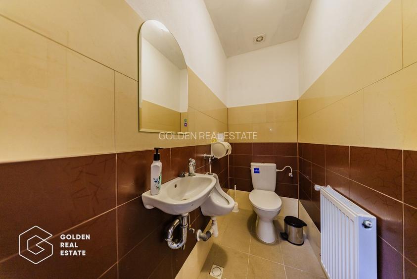 Proprietate pretabila pentru afacere, Cladova - 12