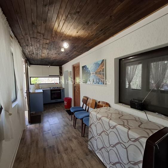 Casa de Vacanta Lepsa - 12