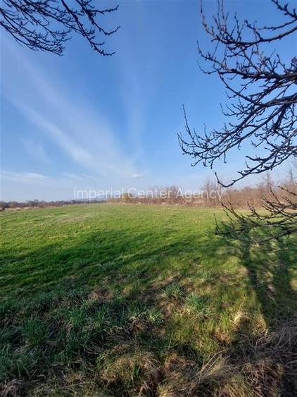 Onești | Teren 33 ha cu utilități • Se vinde integral sau în - 3