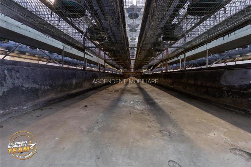 FILM! Ferma de iepuri,Malnas,Covasna: domeniu:industrial/comercial,asset UE - 37