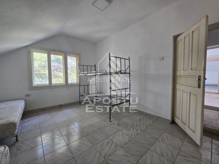 Casa de vanzare, potential pensiune, pe malul Timisului,Sag,comision 0 - 24