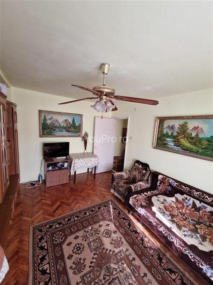 Apartament spatios cu 1 camera zona Blascovici - 16