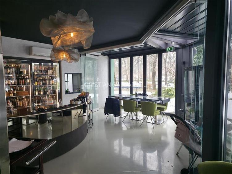 Vanzare spatiu comercial/restaurant/afacere la cheie  Nordului - Herastrau Parc, - 6