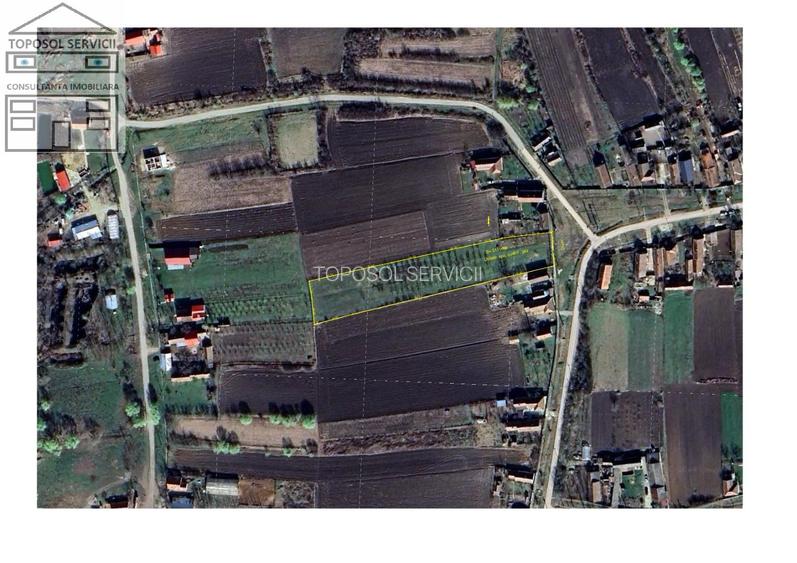 Teren de vanzare Sannicolau Roman - 4