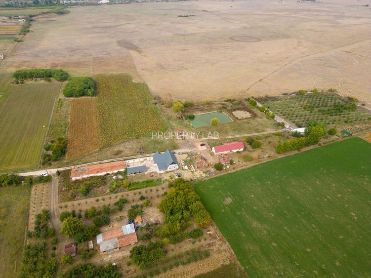 Teren intravilan cu iazuri și casă - Chișineu-Criș - 20