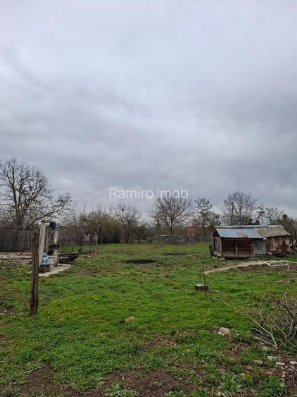 Crevedia - Darza , teren si casa batraneasca - 6