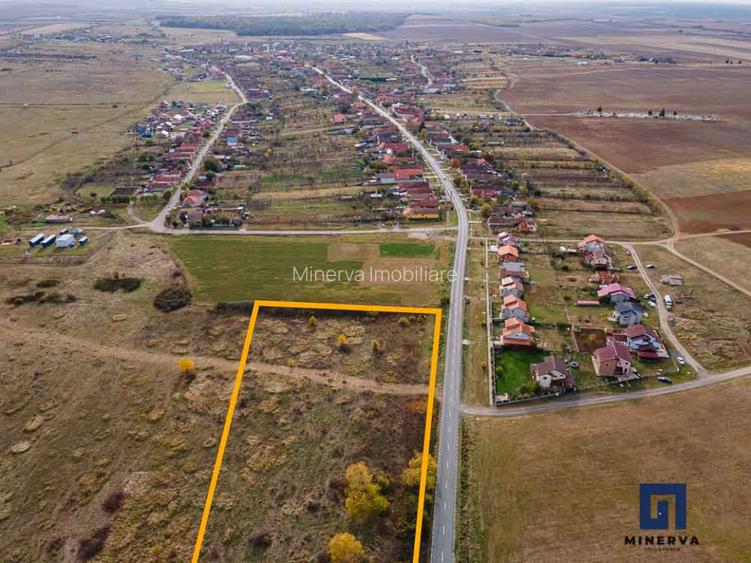 Teren ideal ca investitie, 19000 mp, in Pischia pe DJ691, comision 0 - 7