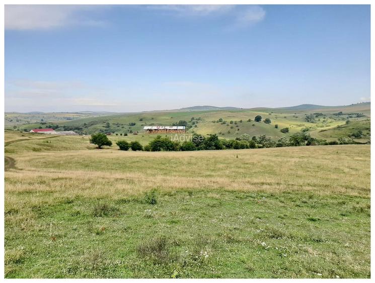 Teren Sercaia  250 ha - 6