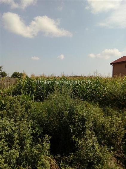 Teren, Zapodia,Traian Bacau - 4