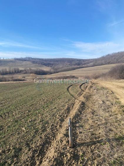 Teren extravilan 3900 mp, Mierlău, Bihor - 3