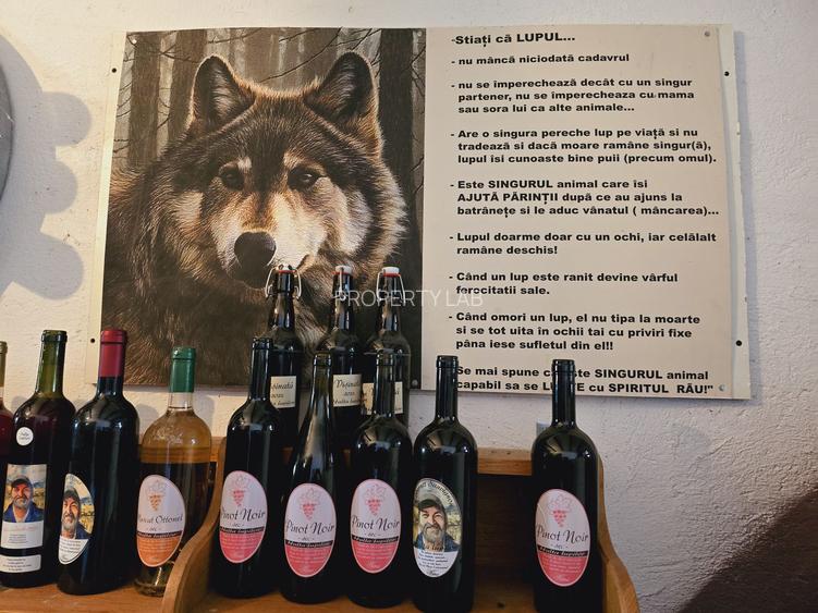 Vie Tradițională „Halta Lupilor” - 14